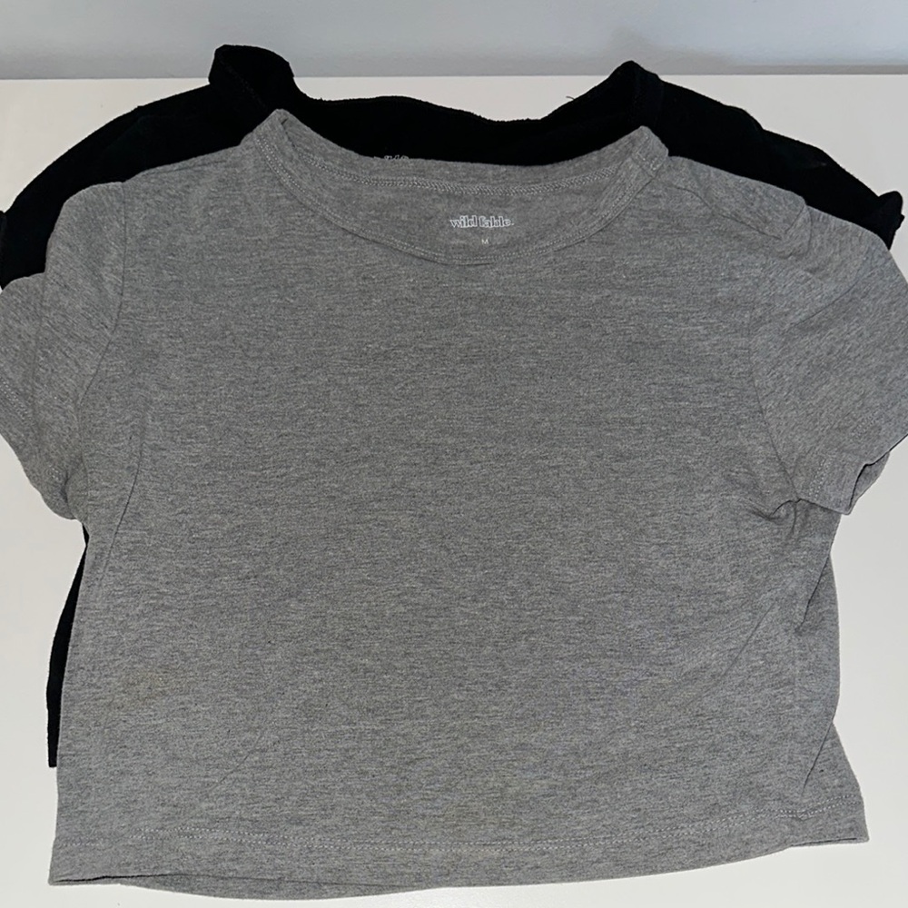 Wild Fable Gray and Black Crop Top